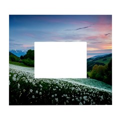 Field Of White Petaled Flowers Nature Landscape White Wall Photo Frame 5  x 7 