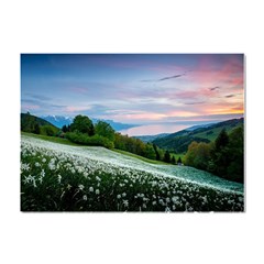 Field Of White Petaled Flowers Nature Landscape Crystal Sticker (A4)