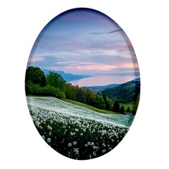 Field Of White Petaled Flowers Nature Landscape Oval Glass Fridge Magnet (4 Pack) by Sarkoni