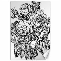 Roses Bouquet Flowers Sketch Canvas 20  X 30  by Modalart