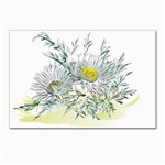 Thistle Alpine Flower Flower Plant Postcard 4 x 6  (Pkg of 10) Front