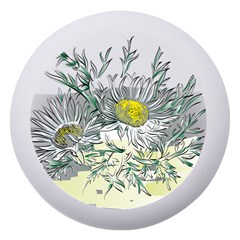 Thistle Alpine Flower Flower Plant Dento Box With Mirror