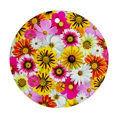 Flowers Blossom Bloom Nature Plant Ornament (round)