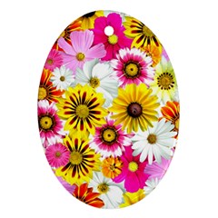 Flowers Blossom Bloom Nature Plant Ornament (oval)