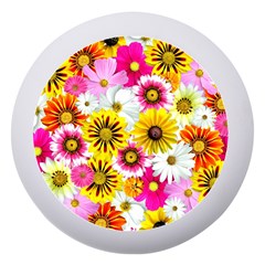 Flowers Blossom Bloom Nature Plant Dento Box With Mirror