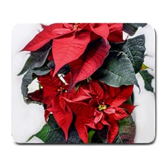 Star Of Bethlehem Star Red Large Mousepad by Amaryn4rt