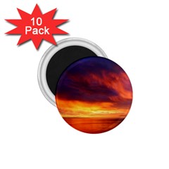 Sunset The Pacific Ocean Evening 1 75  Magnets (10 Pack)  by Amaryn4rt