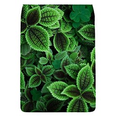 Shanghai Botanical Garden Removable Flap Cover (s) by Pakjumat