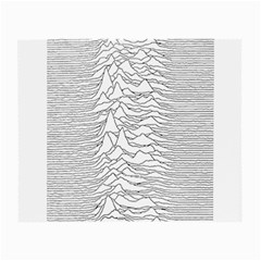 Joy Division Unknown Pleasures Small Glasses Cloth (2 Sides)