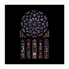 Rosette Cathedral Medium Glasses Cloth by Hannah976