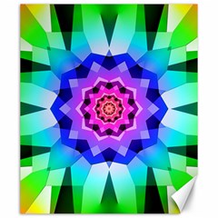 Ornament Kaleidoscope Canvas 20  X 24 