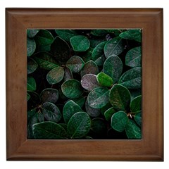 Dark Nature , Nature, Edeg Framed Tile