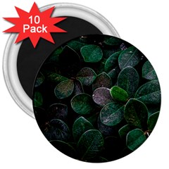 Dark Nature , Nature, Edeg 3  Magnets (10 Pack)  by nateshop