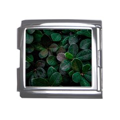 Dark Nature , Nature, Edeg Mega Link Italian Charm (18mm)