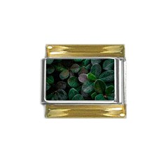 Dark Nature , Nature, Edeg Gold Trim Italian Charm (9mm)