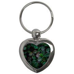 Dark Nature , Nature, Edeg Key Chain (Heart)