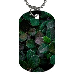 Dark Nature , Nature, Edeg Dog Tag (Two Sides)