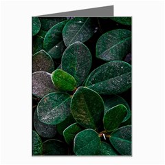 Dark Nature , Nature, Edeg Greeting Card by nateshop