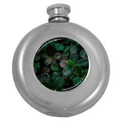 Dark Nature , Nature, Edeg Round Hip Flask (5 oz)