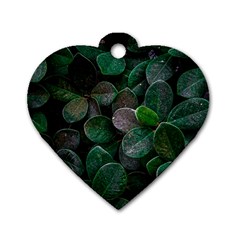 Dark Nature , Nature, Edeg Dog Tag Heart (Two Sides)