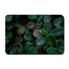 Dark Nature , Nature, Edeg Small Doormat