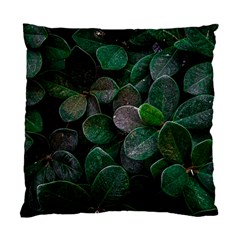 Dark Nature , Nature, Edeg Standard Cushion Case (One Side)