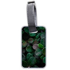 Dark Nature , Nature, Edeg Luggage Tag (two sides)