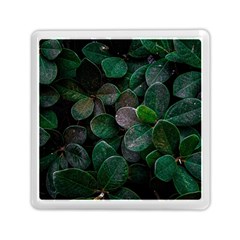 Dark Nature , Nature, Edeg Memory Card Reader (Square)