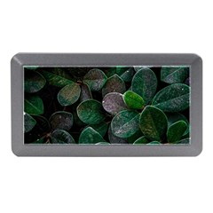 Dark Nature , Nature, Edeg Memory Card Reader (Mini)