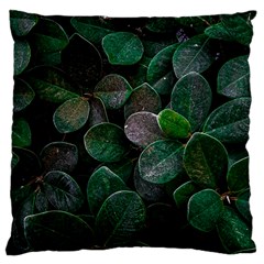 Dark Nature , Nature, Edeg Large Cushion Case (Two Sides)