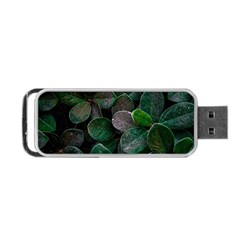 Dark Nature , Nature, Edeg Portable USB Flash (Two Sides)