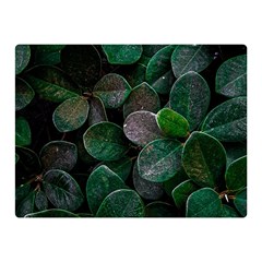 Dark Nature , Nature, Edeg Two Sides Premium Plush Fleece Blanket (Mini)