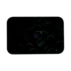 Dark Nature , Nature, Edeg Open Lid Metal Box (Silver)  