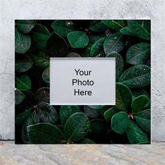 Dark Nature , Nature, Edeg White Wall Photo Frame 5  x 7 