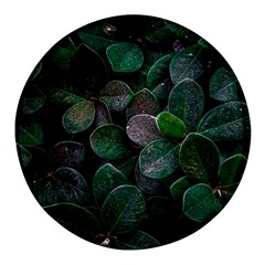 Dark Nature , Nature, Edeg Round Glass Fridge Magnet (4 Pack) by nateshop