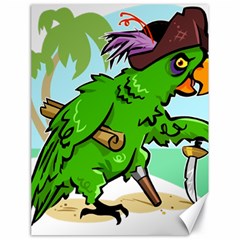 Parrot Hat Cartoon Captain Canvas 18  X 24 