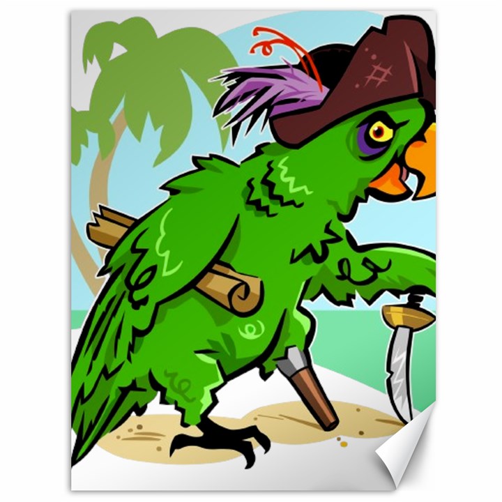 Parrot Hat Cartoon Captain Canvas 36  x 48 