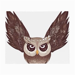 Owl Bird Feathers Small Glasses Cloth