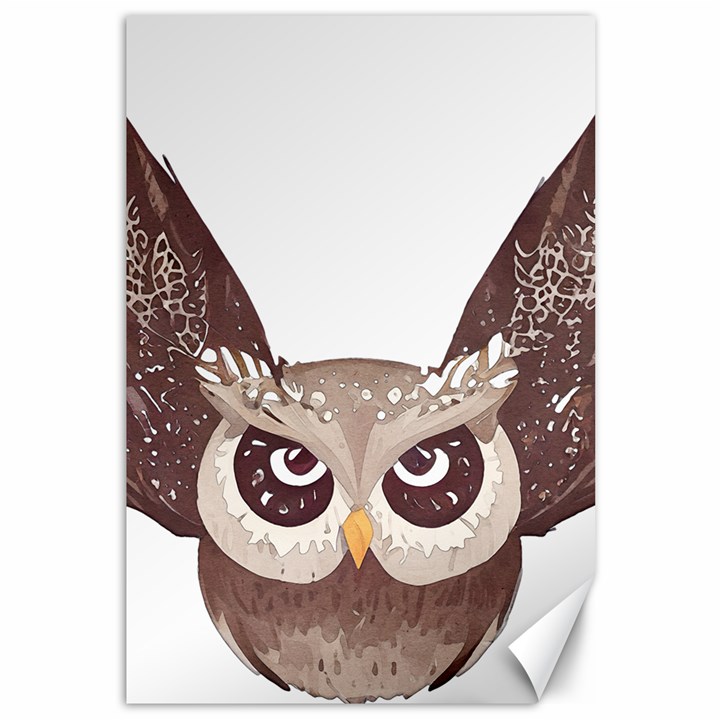 Owl Bird Feathers Canvas 12  x 18 