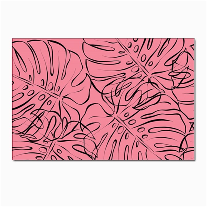 Pink Monstera Postcards 5  x 7  (Pkg of 10)