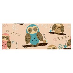 Seamless Pattern Owls Dream Cute Style Pajama Fabric Banner And Sign 8  X 3  by Apen