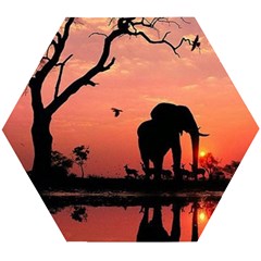 Elephant Landscape Tree Africa Sunset Safari Wild Wooden Puzzle Hexagon