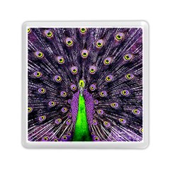 Peacock Bird Color Memory Card Reader (square) by Cendanart