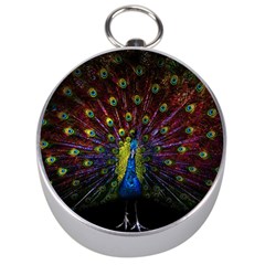 Beautiful Peacock Feather Silver Compasses by Ket1n9