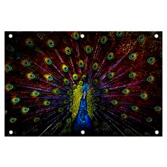 Beautiful Peacock Feather Banner And Sign 6  X 4  by Ket1n9