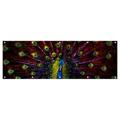 Beautiful Peacock Feather Banner And Sign 12  X 4  by Ket1n9