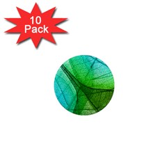 Sunlight Filtering Through Transparent Leaves Green Blue 1  Mini Magnet (10 Pack)  by Ket1n9