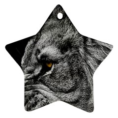 Angry Male Lion Roar Wild Animal Star Ornament (two Sides) by Cendanart