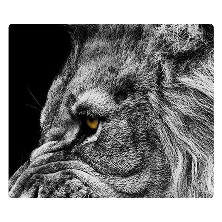 Angry Male Lion Roar Wild Animal Premium Plush Fleece Blanket (Small)