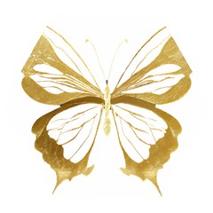 Simulated Gold Leaf Gilded Butterfly Wooden Puzzle Hexagon by essentialimage